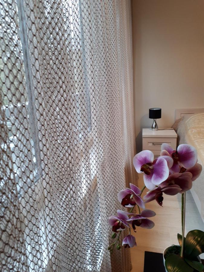 Vena Apartment Breslavia Esterno foto